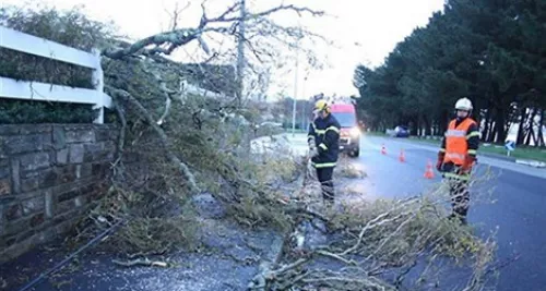 Le vent violent de retour dans le Rhône