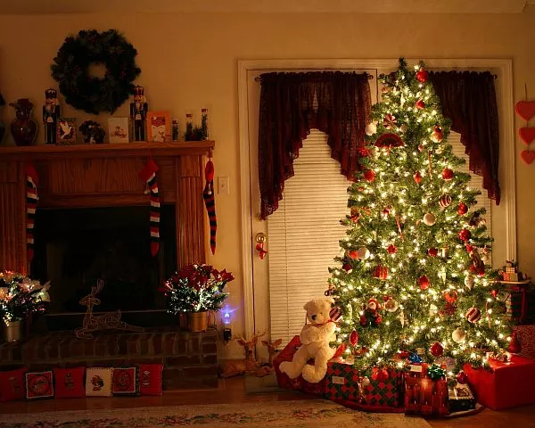 Lyon : dernier jour pour la collecte de sapins !