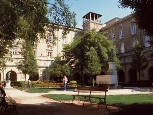 Beau succès pour Des racines & des ailes spécial Lyon