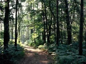 La randonnée est en marche à Lyon