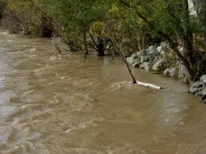 La rivière d'Ain victime de pollution