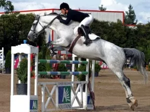 Le cheval fait son show à Lyon