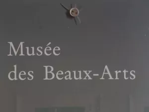 Le musée des Beaux-arts à la recherche de 200 000 euros