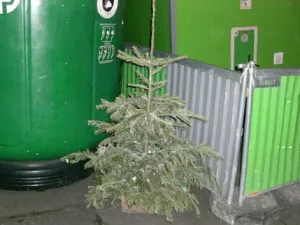 Les Lyonnais ont bien collecté leurs sapins de Noël