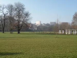 Parc de la Feyssine: des furets contre les lapins