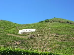 Une manifestation anti-loup hier en Haute-Savoie