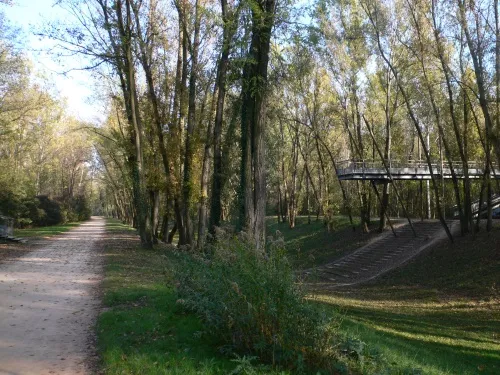 Une vingtaine de lapins capturés au parc de La Feyssine