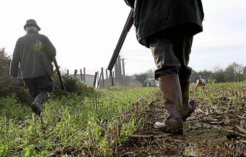 La chasse ouvre ce dimanche dans le Rhône