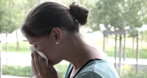 Allergies : les pollens d’ambroisie arrivent à Lyon