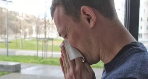 Gare à l’allergie au bouleau !