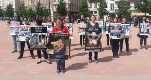 Lyon : une dizaine de manifestants pour les animaux de laboratoire