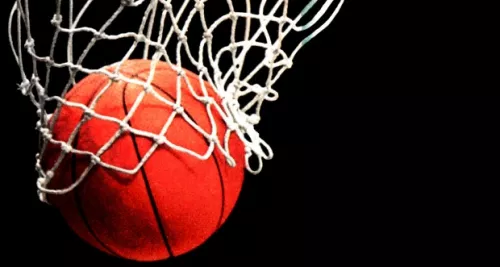 Le Lyon Basket Féminin sera fixé sur son sort fin juillet