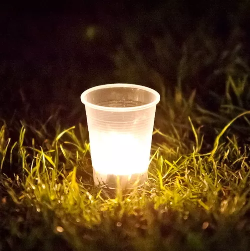 A Lyon, les Veilleurs reprennent du service