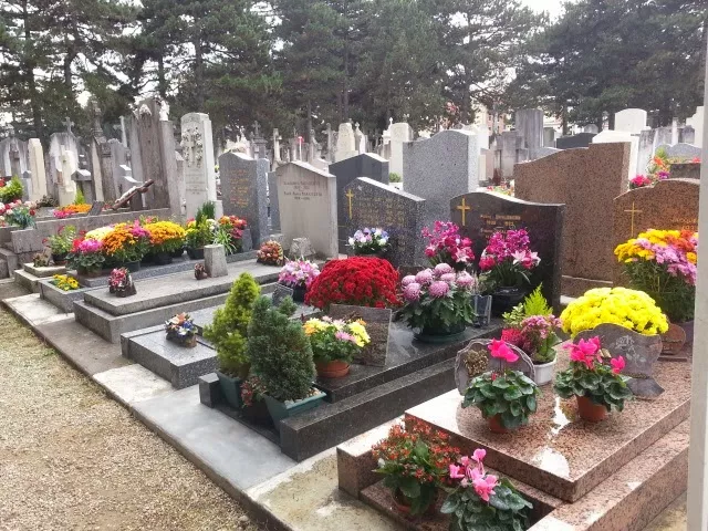 Le cimetière de la Guillotière reprend des couleurs