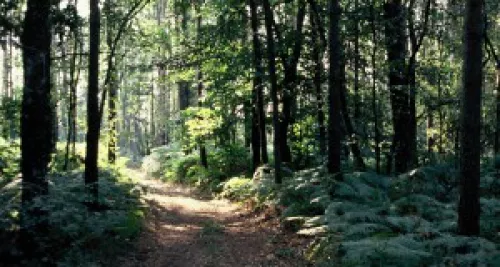 Une nouvelle réserve naturelle nationale a été créée dans la région