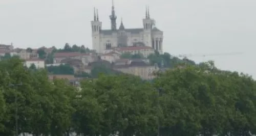 Alertes polliniques dans le Rhône