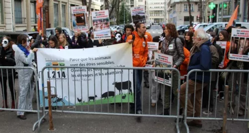 Lyon : manifestation contre l’élevage industriel mardi