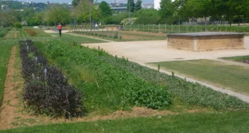 De l'amiante dans le jardin secret de Saint-Rambert  à Lyon