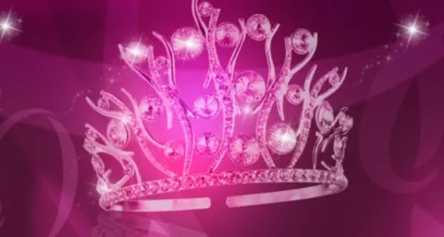 17 prétendantes pour un titre de Miss Lyon