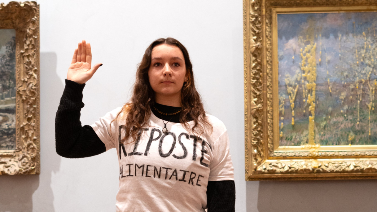 Lyon des militantes écologistes aspergent un tableau de soupe