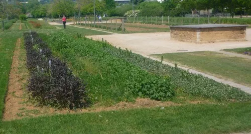 Rhône : ce week-end, les promeneurs ont rendez-vous dans les jardins