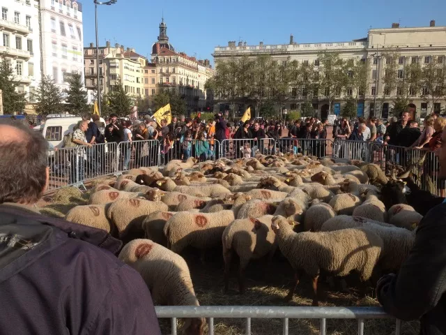 Les éleveurs vont bloquer Lyon à partir de mercredi soir