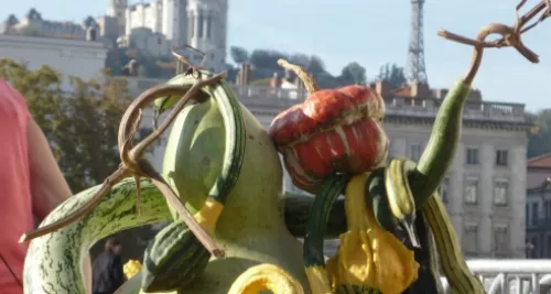 Bellecour a rendez-vous avec son marché des saveurs