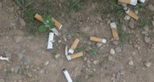 Les mégots de cigarette irritent les piétons de Villeurbanne