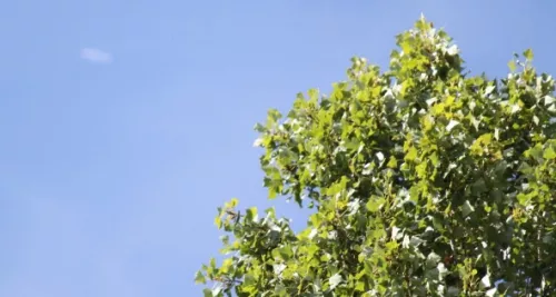 Météo à Lyon : encore une baisse des températures la semaine prochaine