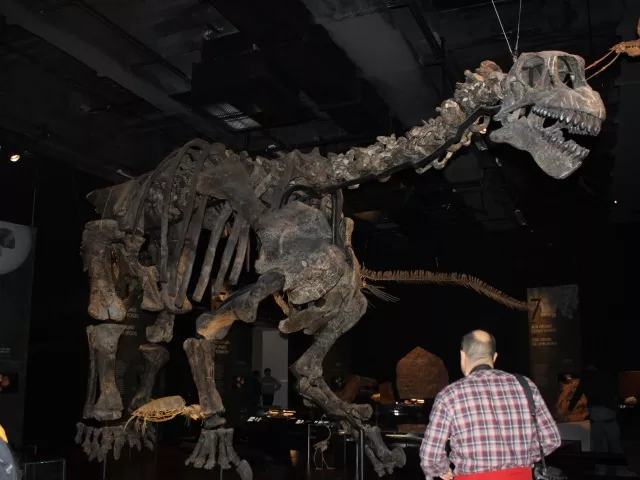 Nuit des Musées à Lyon : ce qu'il ne faut pas louper !