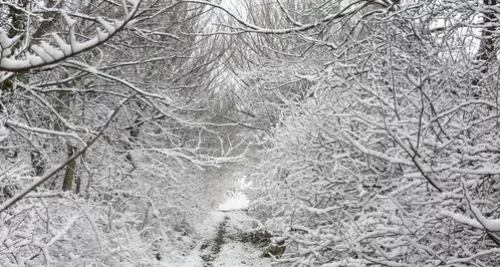 La neige présente sur les reliefs du Rhône, Lyon préservée