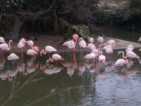 Sites de loisirs préférés : le Parc des Oiseaux domine le classement en Auvergne-Rhône-Alpes