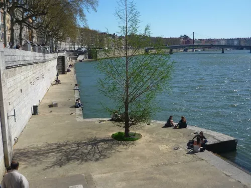 Le conseil départemental de l'environnement donne un avis favorable aux rives de Saône