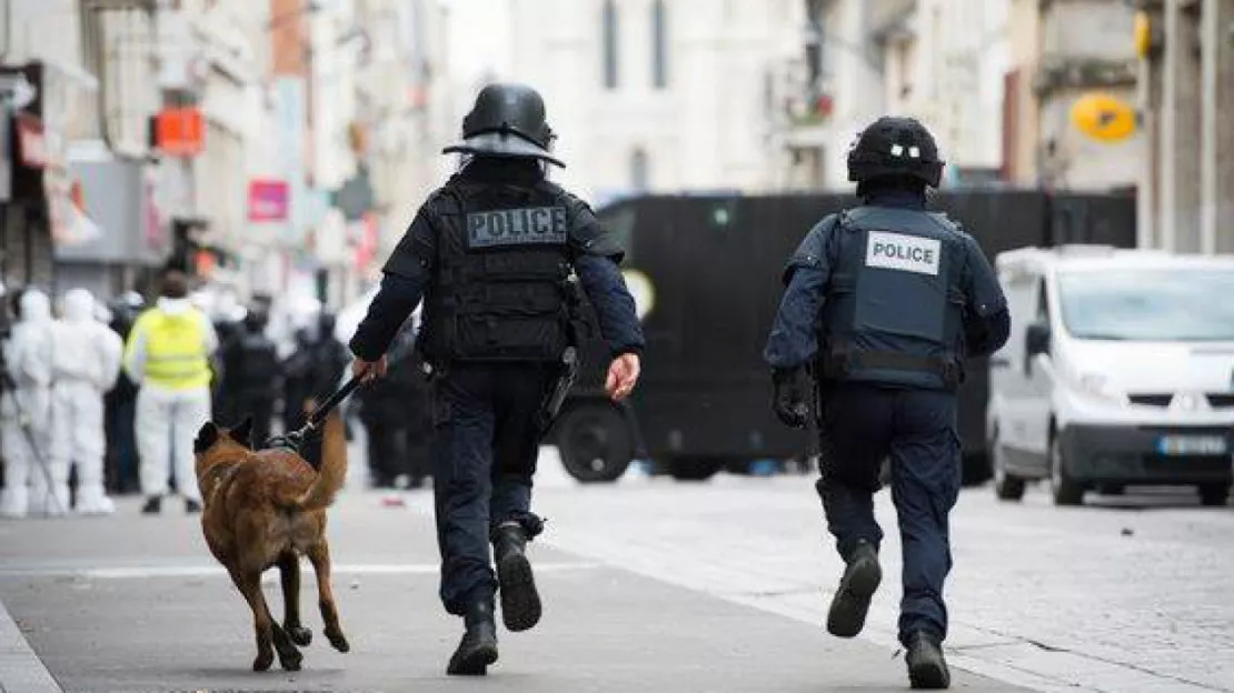 Durant l'opération antiterroriste de Saint-Denis, une chienne du Raid a été tuée mais la Russie va envoyer un chiot pour la remplacer