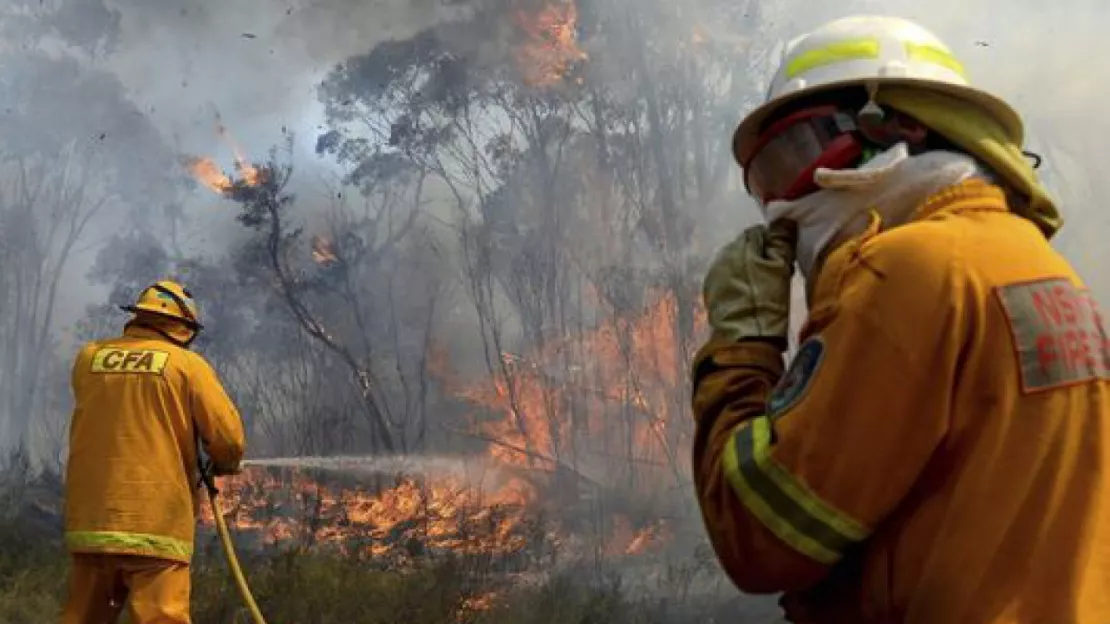 Près de Melbourne, en Australie, d’importants feux de forêt ont détruit plus de 100 habitations dans une partie touristique