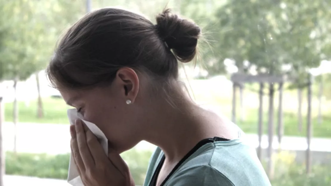 Allergies : les pollens d'ambroisie débarquent à Lyon