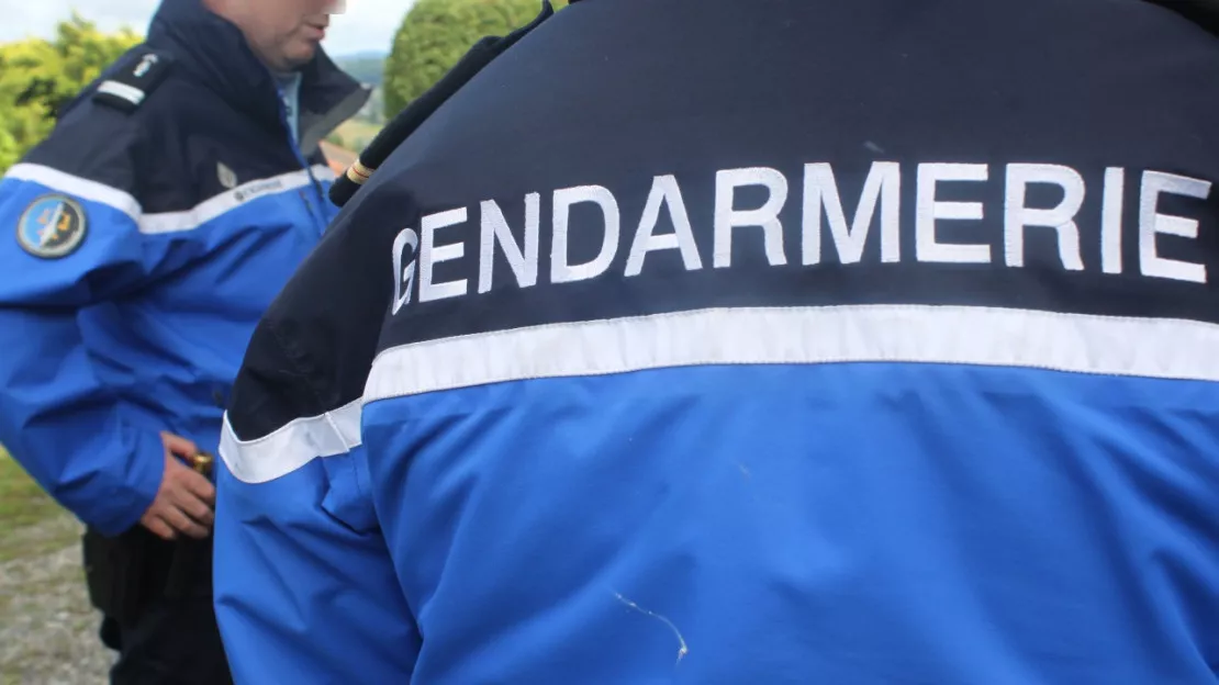 Beaujolais : un homme décède pendant les vendanges