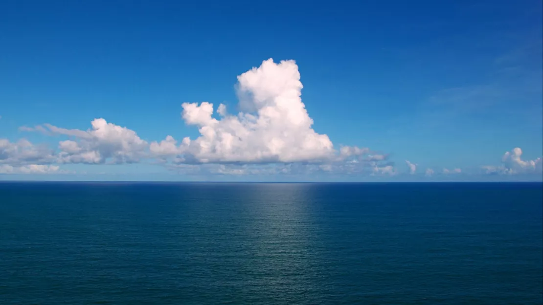 Chaque jour, un quart du CO2 émis par les activités humaines est digéré par les océans