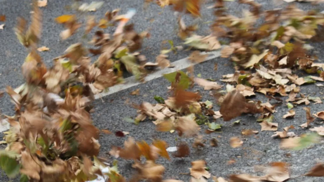 De fortes rafales de vent attendues à Lyon et dans le Rhône !