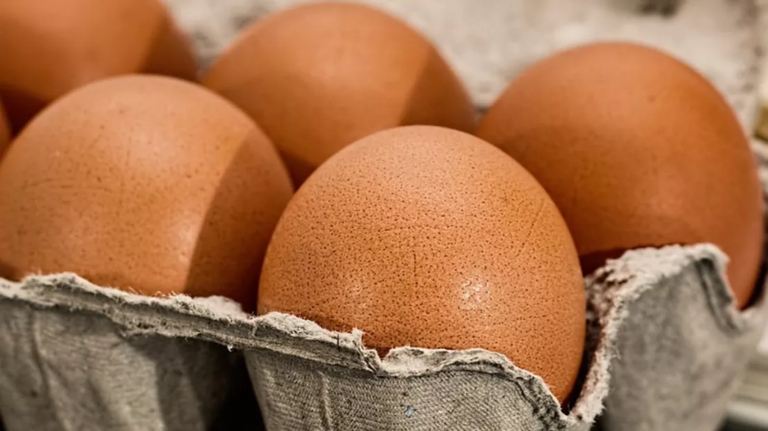 Des œufs bio vendus sur les marchés à Lyon rappelés