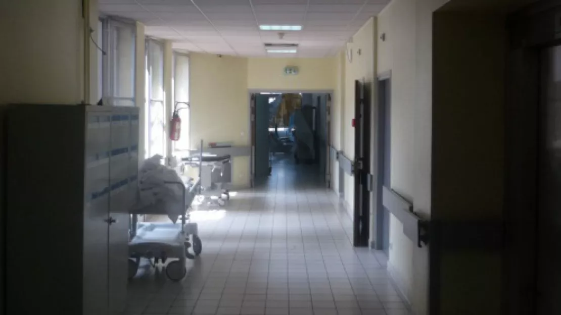 Euthanasie : l’opération Super Hypocrite ce vendredi à Lyon