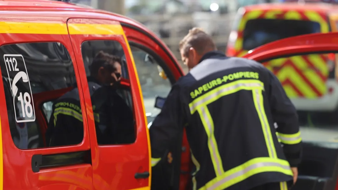 Hospitalisé à Lyon, un bébé décède après avoir été mordu par le chien de sa grand-mère