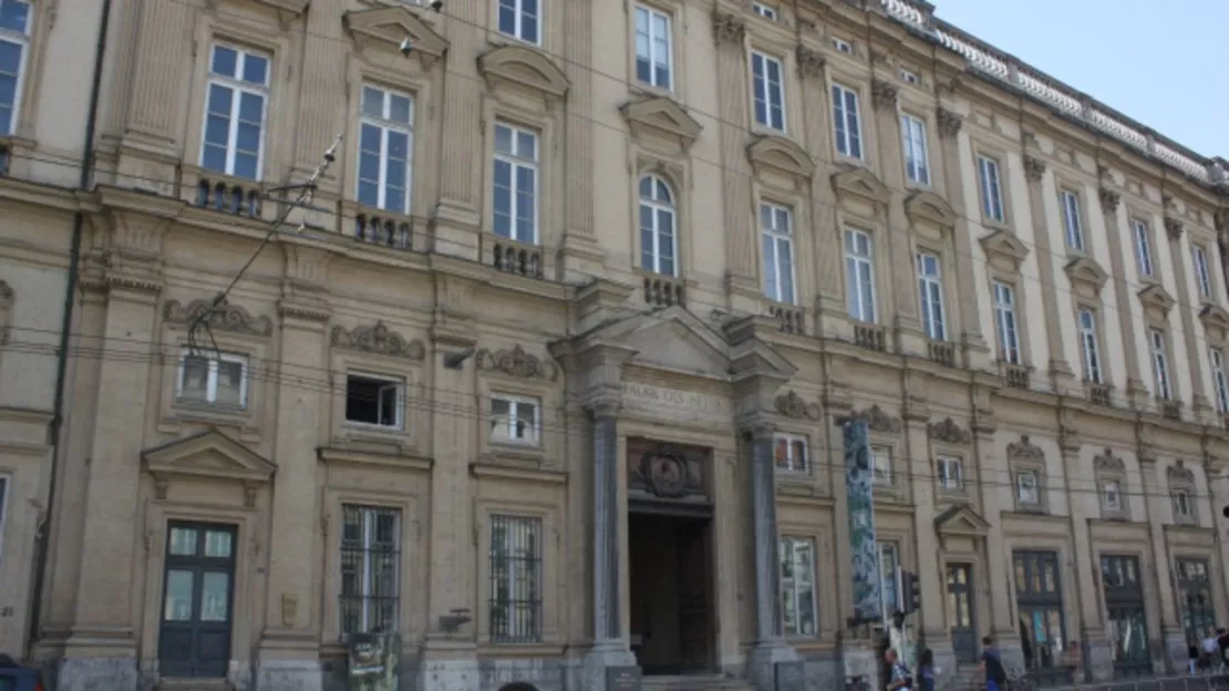 Le musée des Beaux-Arts de Lyon restera fermé ce mercredi et jeudi