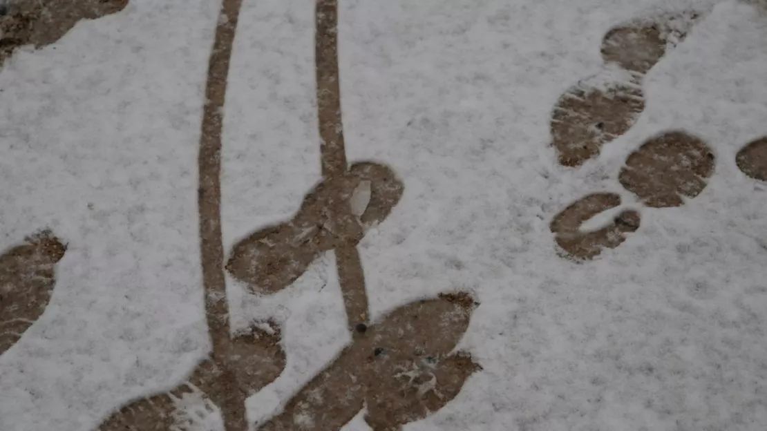 Le Rhône en vigilance jaune neige-verglas ce vendredi matin