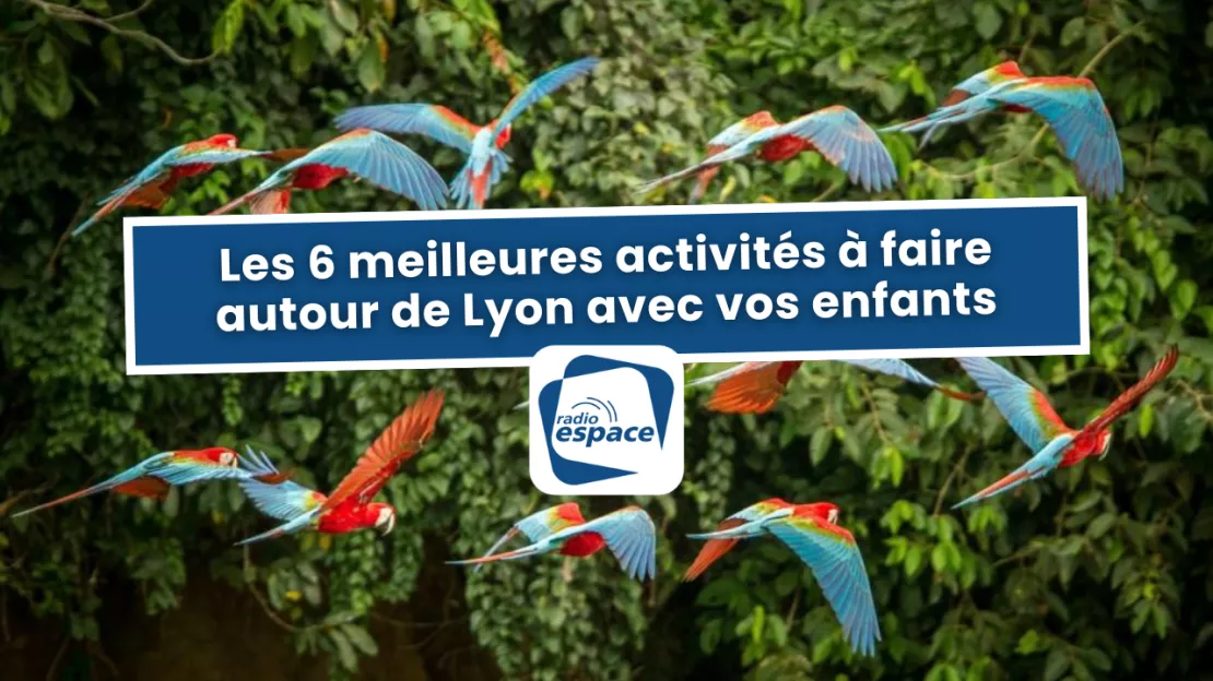 Les 6 meilleures activités à faire autour de Lyon avec vos enfants