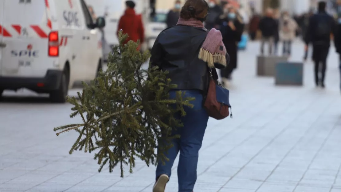Lyon : déposez votre sapin de Noël en point de collecte