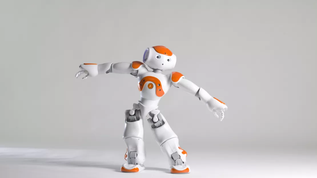 Vaulx-en-Velin : Une expérience avec un robot pour aider les enfants autistes