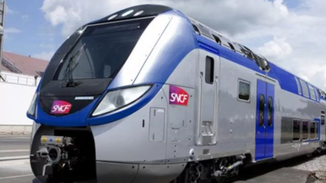 SNCF : Sud Rail annonce une grève suivie à Lyon