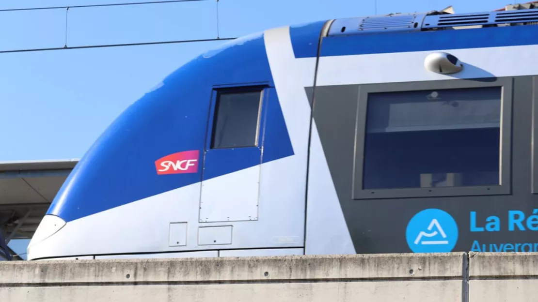 Orages : la ligne TER entre Lyon et Grenoble perturbée