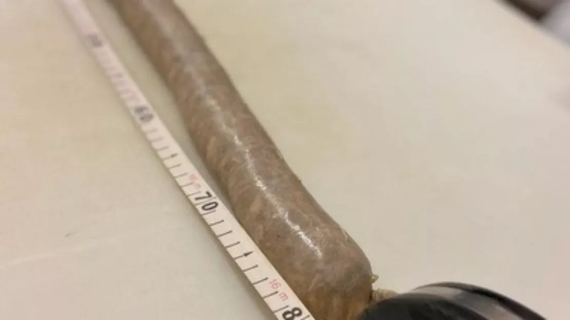 Près de Lyon : le record du monde de la plus longue andouillette battu !